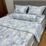  Bộ Drap Victoria TLV160 