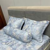  Bộ Drap Victoria TLV160 