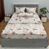  Bộ Drap Victoria TLV157 