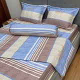  Bộ Drap White Swan TLC606 