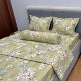  Bộ Drap Victoria TLV158 