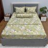  Bộ Drap Victoria TLV158 