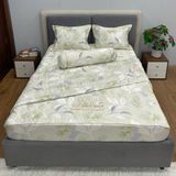  Bộ Drap White Swan TLC398 