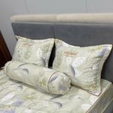  Bộ Drap White Swan TLC398 