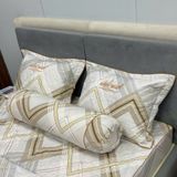  Bộ Drap White Swan TLC508 