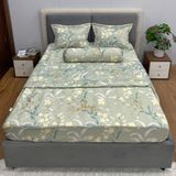  Bộ Drap Victoria TLV165 