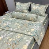  Bộ Drap Victoria TLV165 