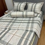  Bộ Drap Victoria TLV163 