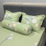  Bộ Drap White Swan TLC502 