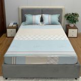  Bộ Drap White Swan TLC500 