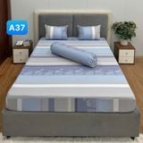  Bộ Drap Cotton Red Rose A37 
