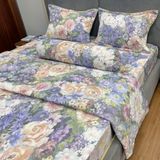  Bộ Drap Victoria TLV168 