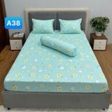  Bộ Drap Cotton Red Rose A38 