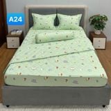  Bộ Drap Cotton Red Rose A24 