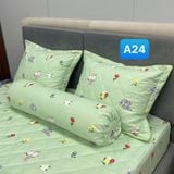  Bộ Drap Cotton Red Rose A24 
