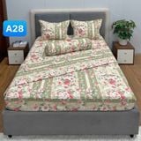  Bộ Drap Cotton Red Rose A28 