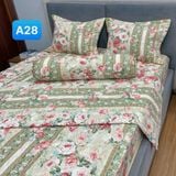  Bộ Drap Cotton Red Rose A28 