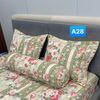  Bộ Drap Cotton Red Rose A28 