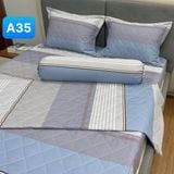  Bộ Drap Cotton Red Rose A35 