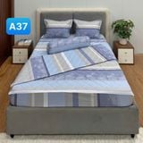 Bộ Drap Cotton Red Rose A37 