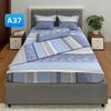  Bộ Drap Cotton Red Rose A37 