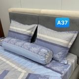  Bộ Drap Cotton Red Rose A37 