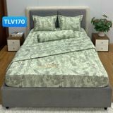  Bộ Drap Victoria TLV170 