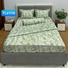  Bộ Drap Victoria TLV170 