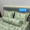  Bộ Drap Victoria TLV170 