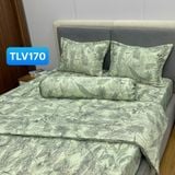  Bộ Drap Victoria TLV170 