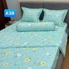  Bộ Drap Cotton Red Rose A38 
