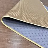  Nệm Chiếu Mây Điều Hòa Foam 