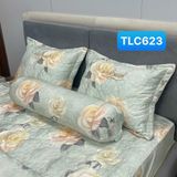  Bộ Drap White Swan TLC623 