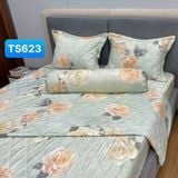  Bộ Drap Tencel Sweetly TS623 