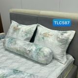  Bộ Drap White Swan TLC587 