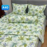  Bộ Drap Cotton Red Rose A40 
