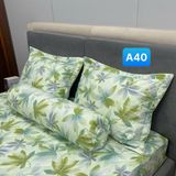  Bộ Drap Cotton Red Rose A40 