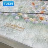  Bộ Drap White Swan TLC634 