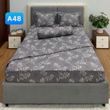  Bộ Drap Cotton Red Rose A48 