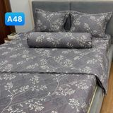 Bộ Drap Cotton Red Rose A48 