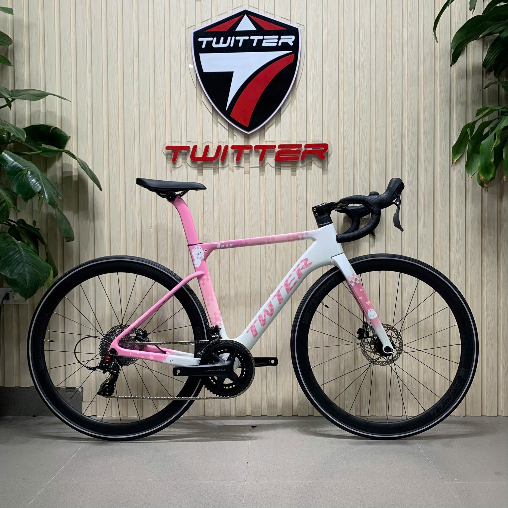Xe đạp đua Road TWITTER R15 PRO | HT BIKE
