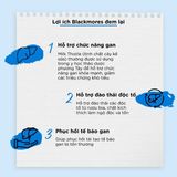  BLACKMORES - Viên uống BLACKMORES MILK THISTLE hỗ trợ phục hồi tế bào gan 