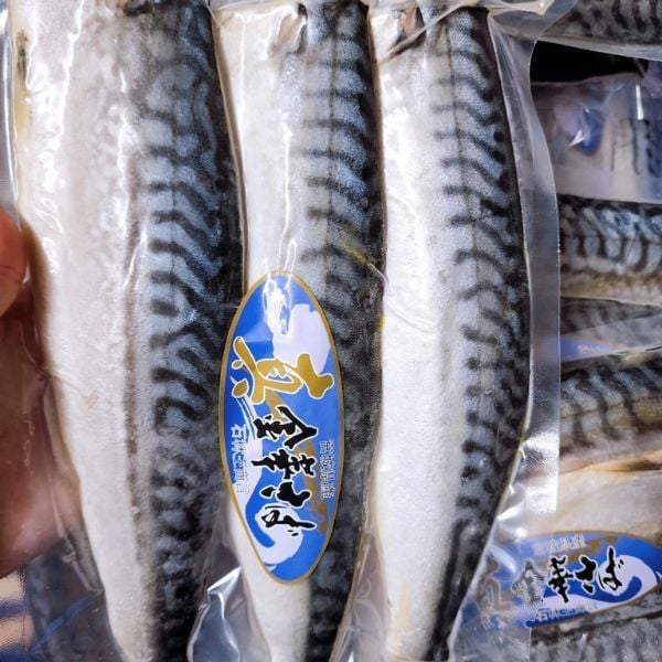  AYUSEN- Cá thu Nhật Kinka 