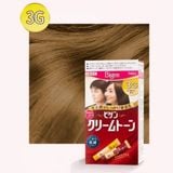  HOYU-Thuốc nhuộm bạc Bigen dạng kem-hạt dẻ 3G 