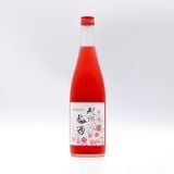  NAKATA- Rượu mơ đỏ Kishu 12 độ 