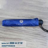  DÙA GẬP 3 LAN ANH 