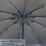  DÙ GẬP 3 CS BEARING 