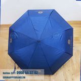  DÙA GẬP 3 LAN ANH 