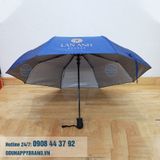  DÙA GẬP 3 LAN ANH 