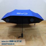  DÙ GẬP 3 BYD VIG BÌNH DƯƠNG 